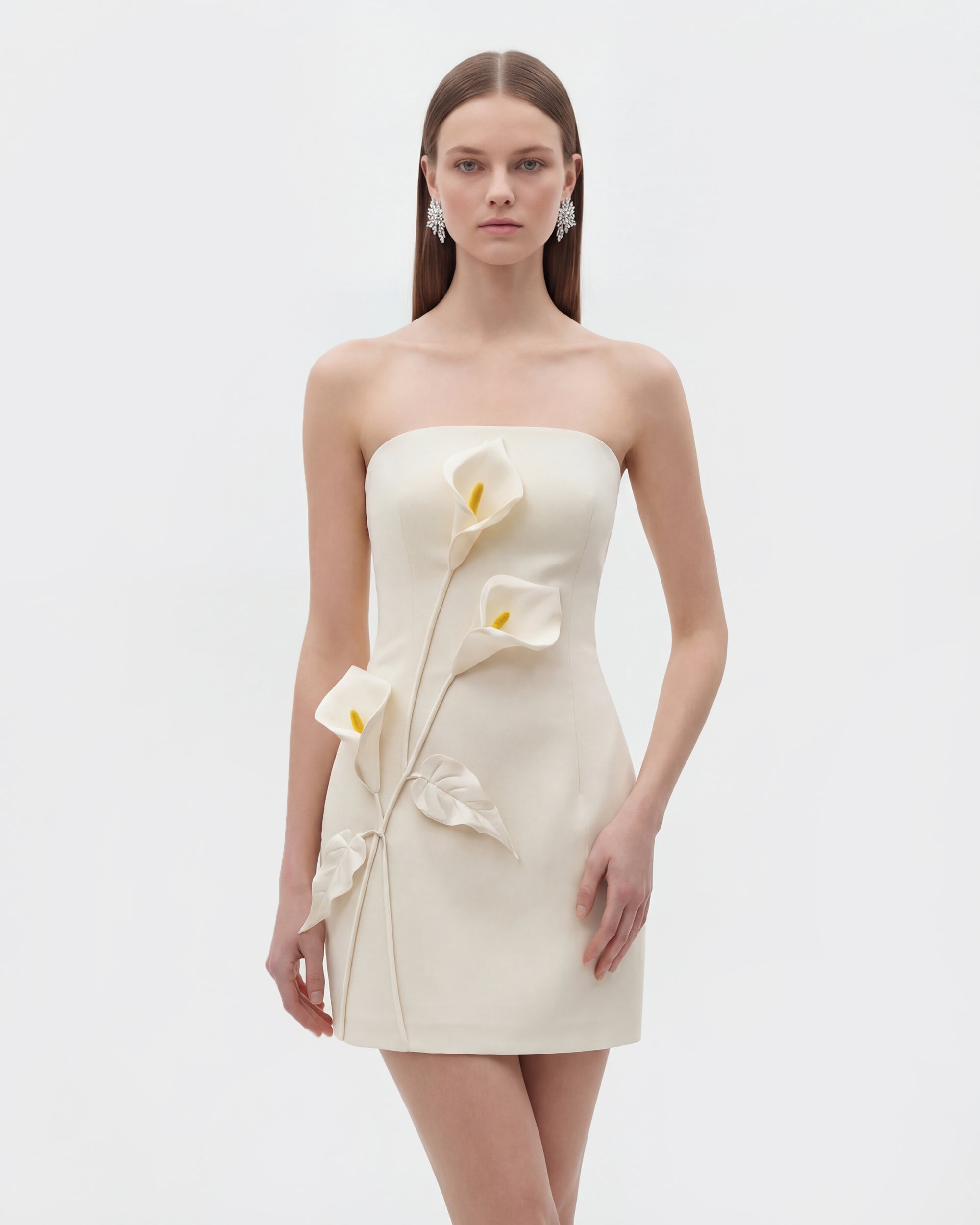 Strapless Floral Appliqué Dress - White