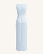 Lily Floral Print Sleeveless Column Maxi Dress - Light Blue