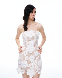 Leander Embroidered Lace Mini Dress - White