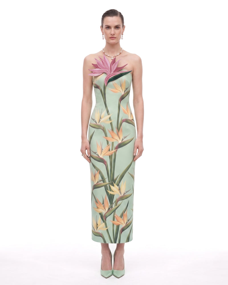 Bird of Paradise Appliqué Strapless Column Midi Dress - Light Mint