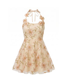 3D Floral Appliqué Sheer Mini Dress - Champagne