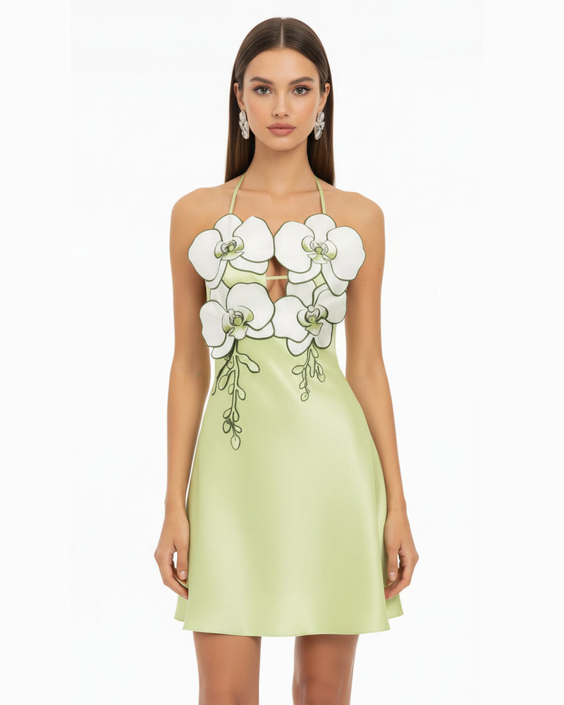Orchid Embroidered Halter Mini Dress - Light Green