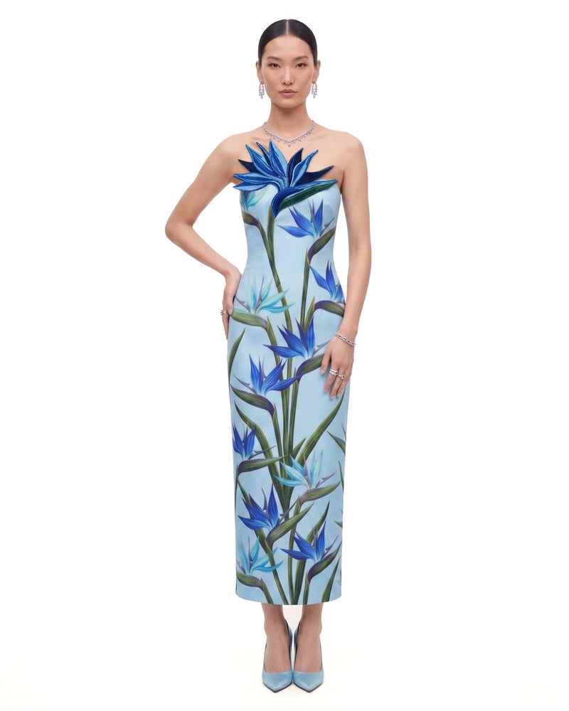 Bird of Paradise Appliqué Strapless Column Midi Dress - Sky Blue