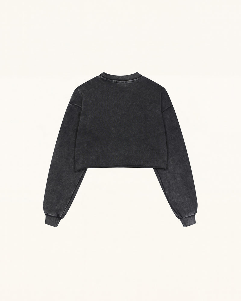 Whimsical Faux Embroidery Dachshund Sweatshirt - Black