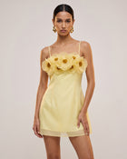 Poppy Embroidered Detail Corset Mini Dress - Pale Yellow