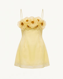 Poppy Embroidered Detail Corset Mini Dress - Pale Yellow